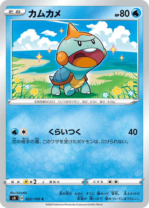 S4 025/100 カムカメ C