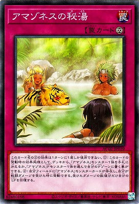 AC02-JP039 アマゾネスの秘湯 N