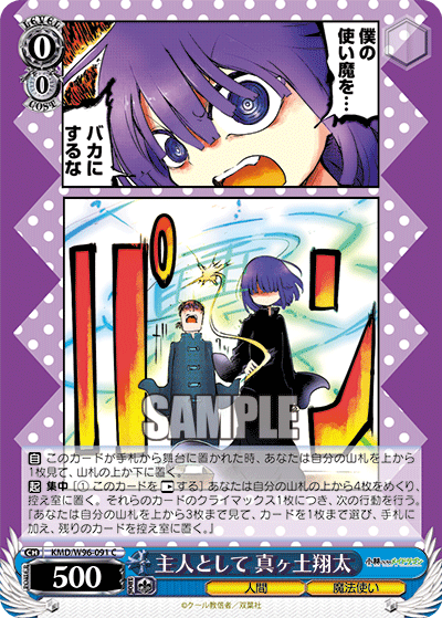 KMD/W96-091 The owner is Masato Shota C