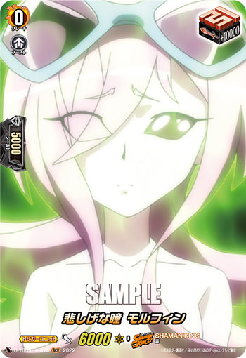 D-TB04/SKR75 心しげなHitomi SKR
