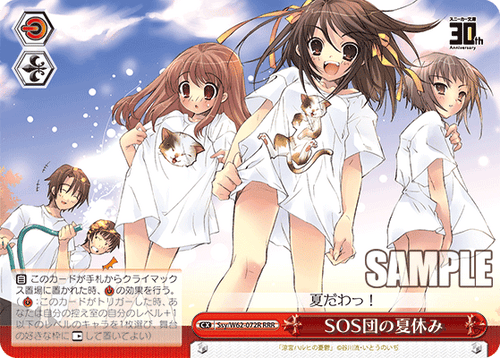 Ssy/W62-072R SOS団の夏休み RRR