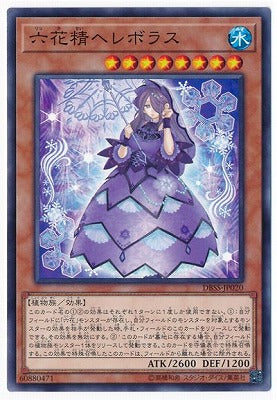DBSS-JP020 六花精ヘレボラス N