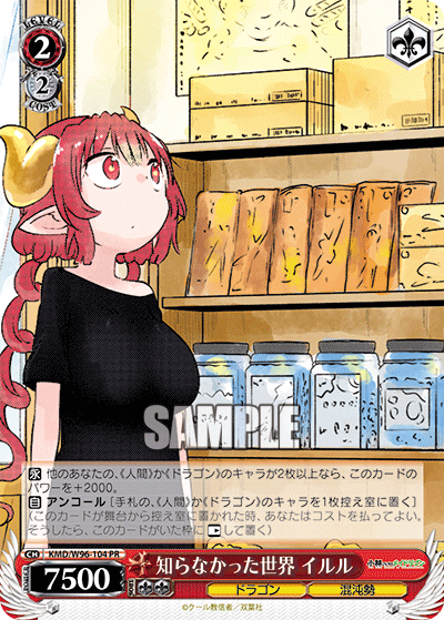 KMD/W96-104 知らなかった世界イルルPR